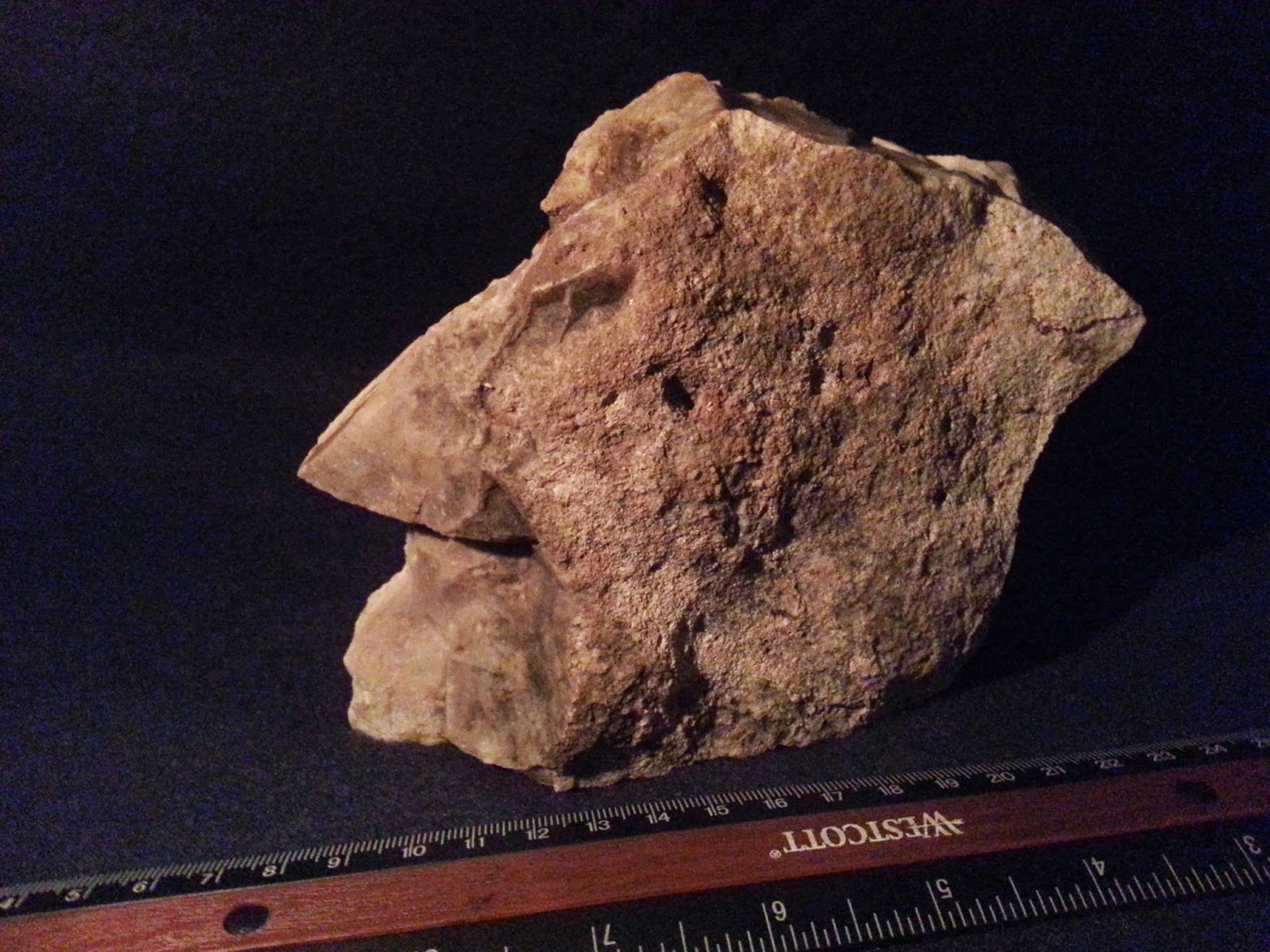 Archaeology of Portable Rock Art A standing twosided head sculpture