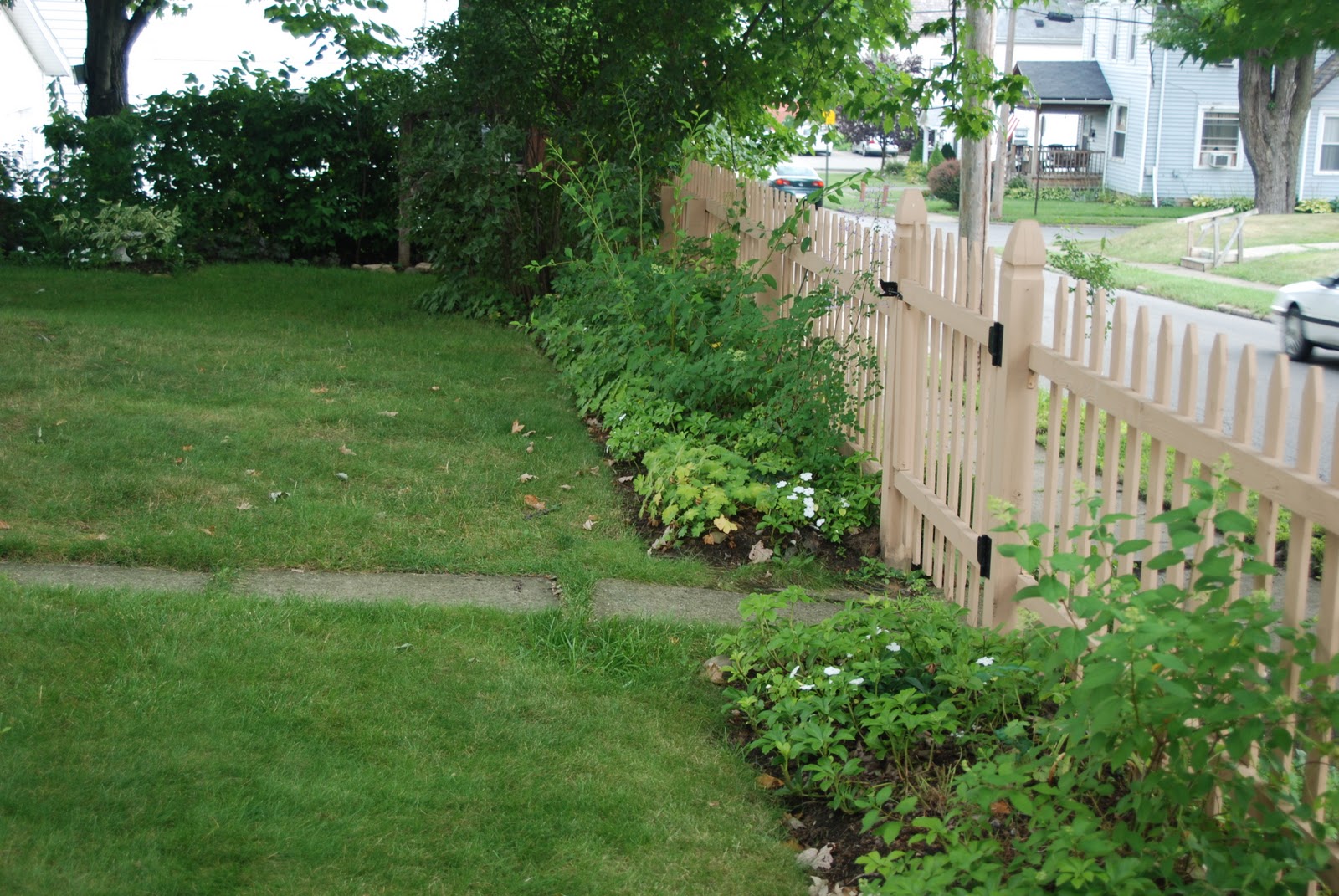 Susan S Blog June Flowers