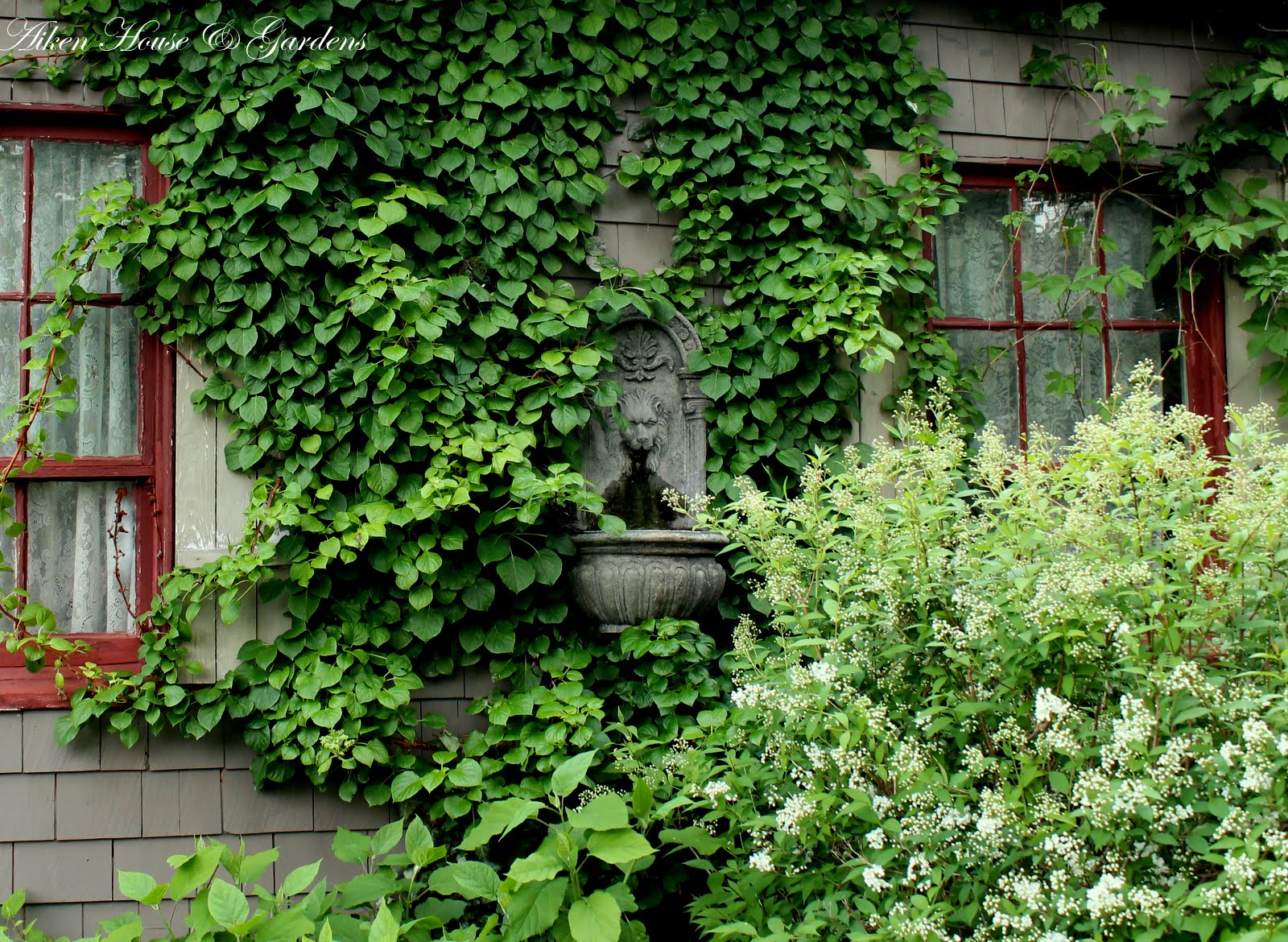 Aiken House & Gardens Martha's Garden in June