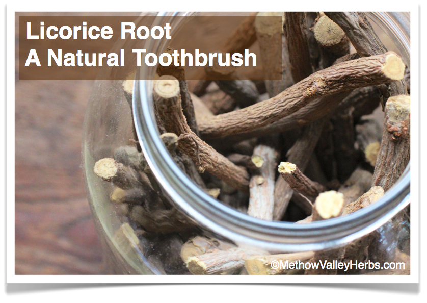 Methow Valley Herbs Brush your teeth with roots!