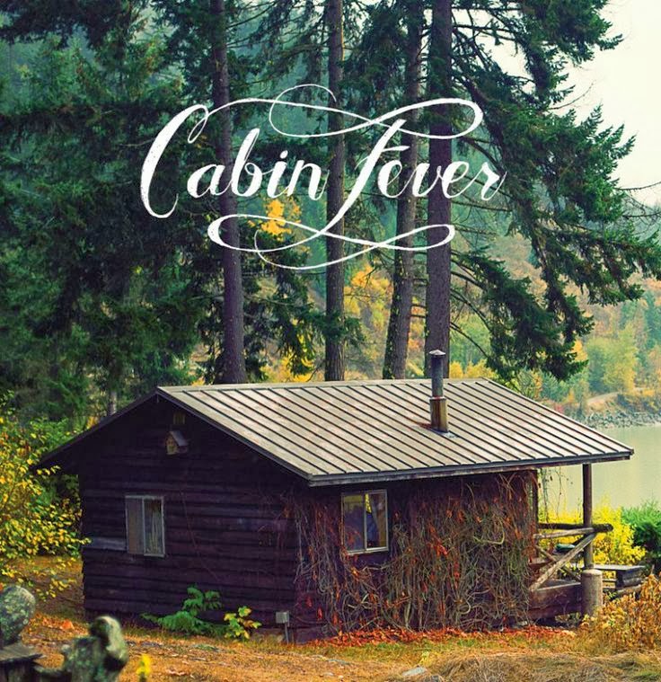 The Journey Back Vacation Log Day 3 Cabin Fever