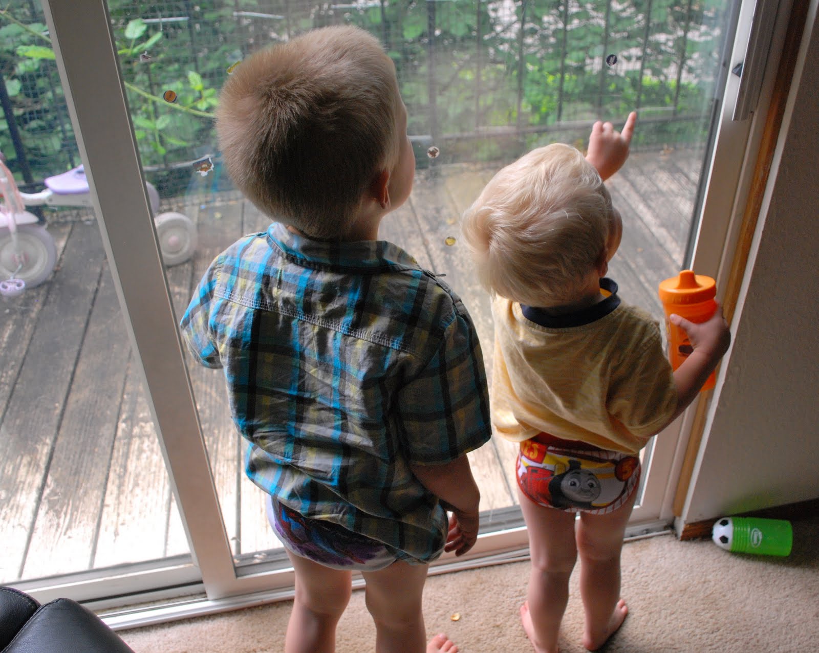 Temporary Insanity, Permanent Joy Potty Boot Camp