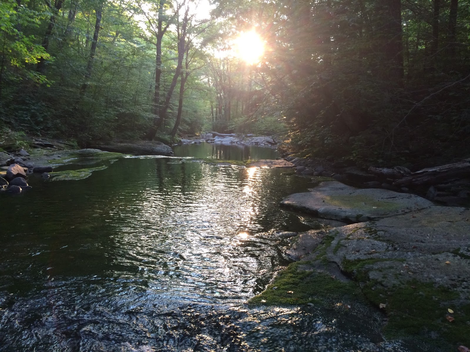 NJ/NY Hikes Catskills East Branch Neversink River