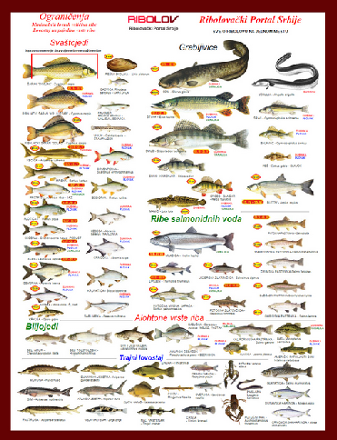 Риболовачки календар