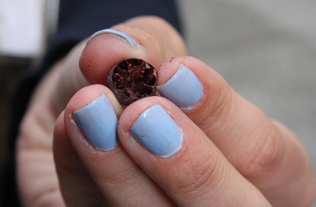 Exploring the savory side of blueberries at the Culinary Institute of America