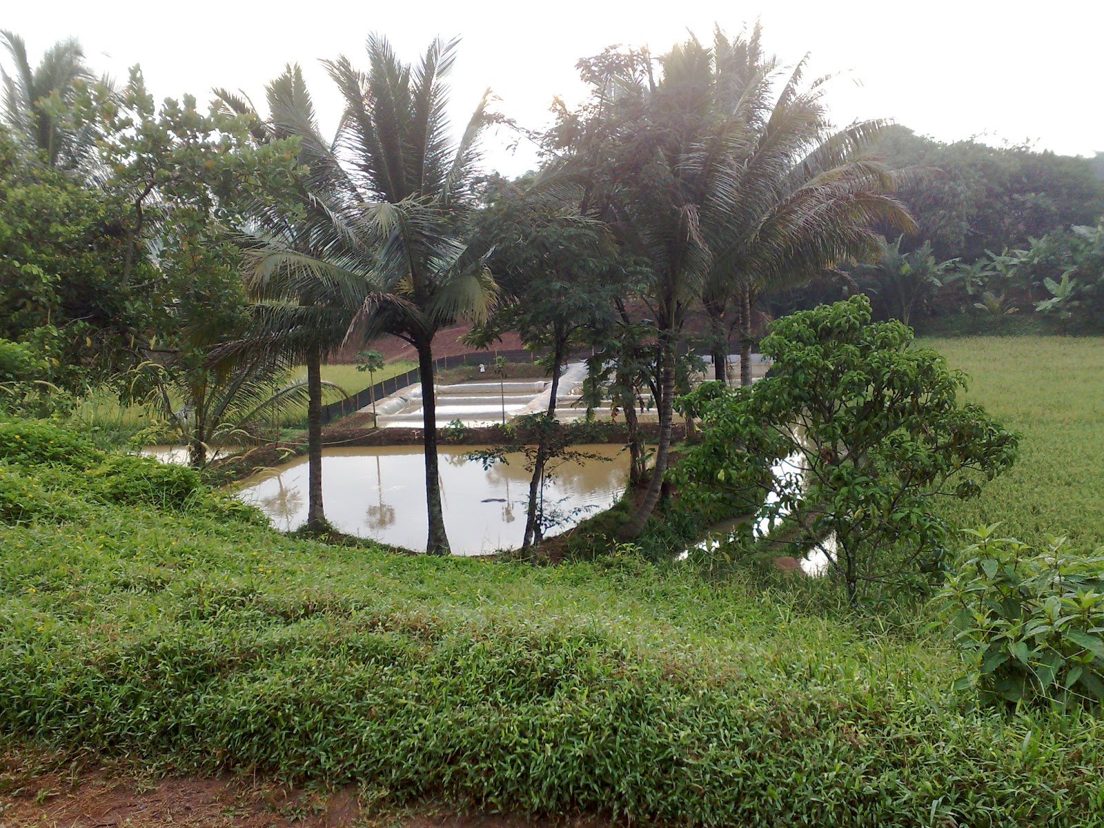 aruura: Trip ke Curug di Gunung Salak
