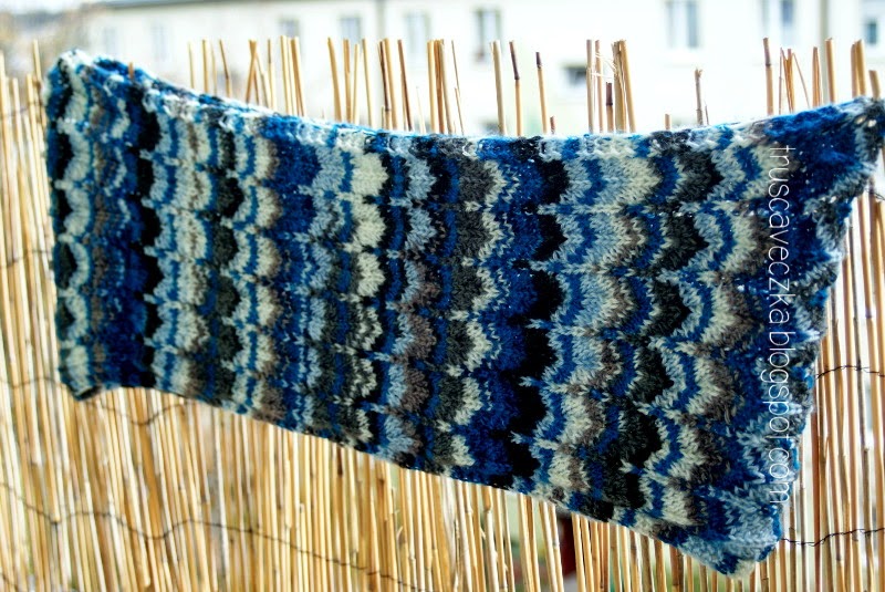 Ile Pedow Wyrasta Z Jednej Cebulki Liatry Porada Eksperta