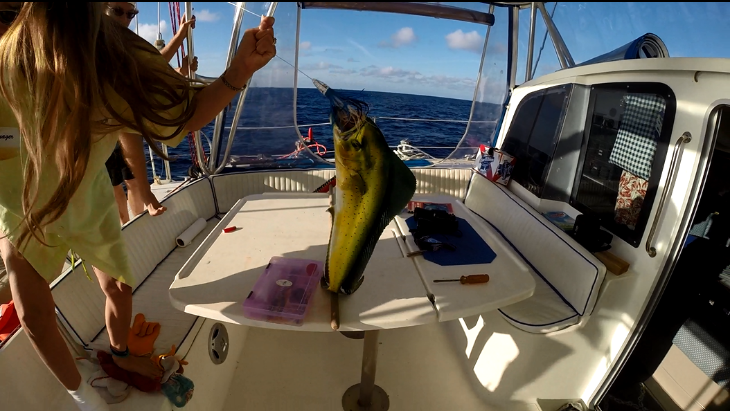 Catchin' Rays Key Largo to Bimini