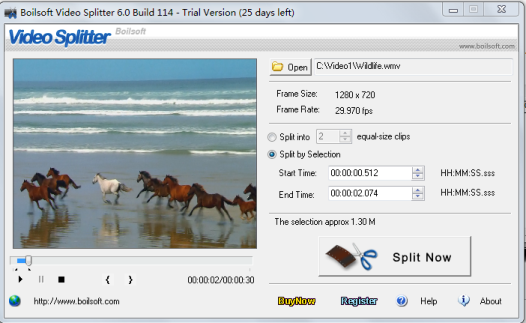Full Version Boilsoft Video Splitter v 6.33