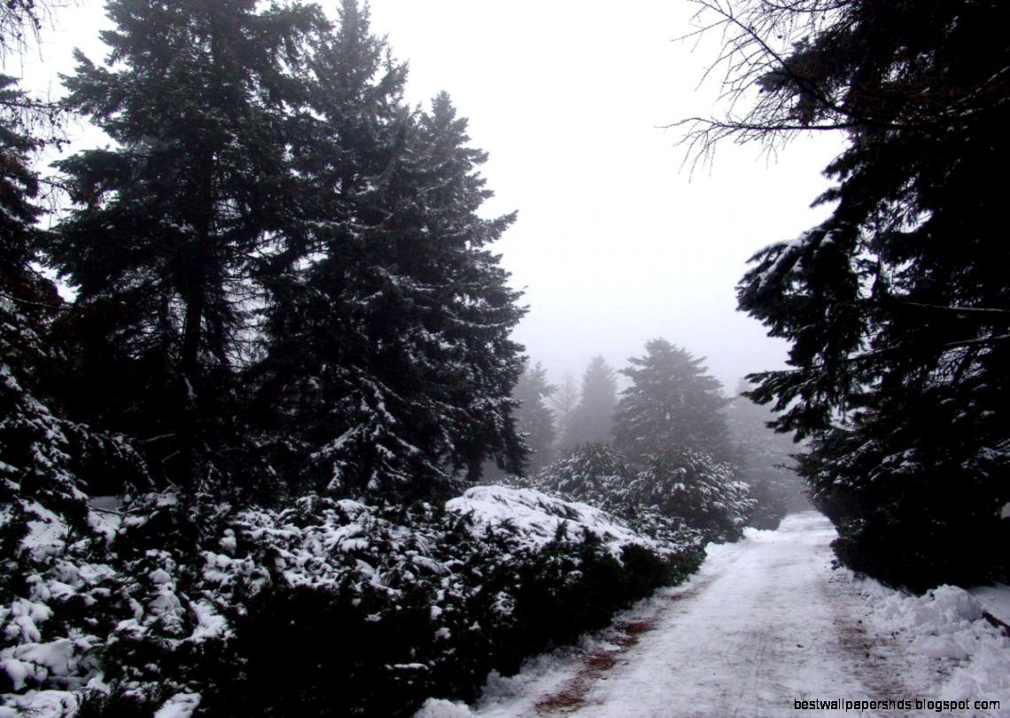 Landscape Winter Road Landscape Winter Road