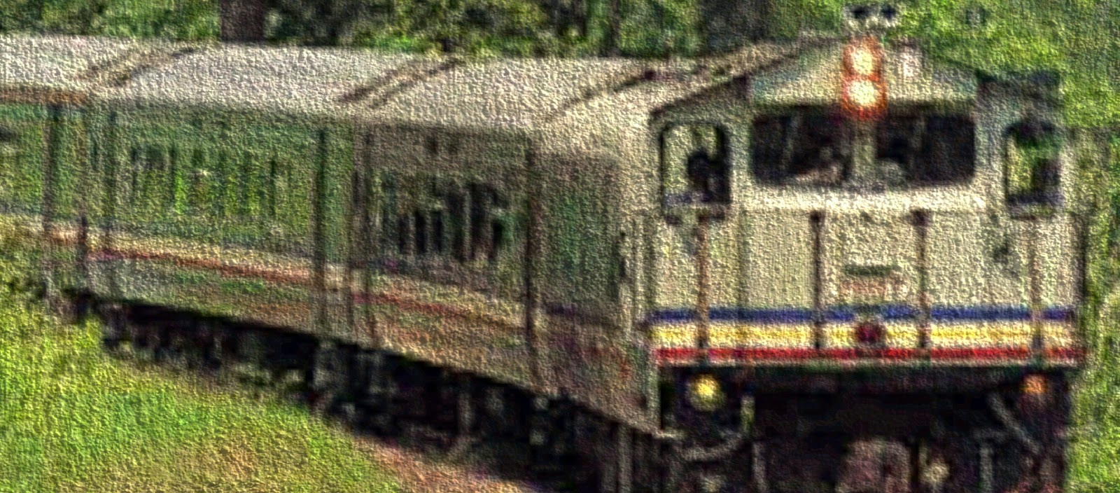 Malaysiana Explorer The Jungle Railway Experience