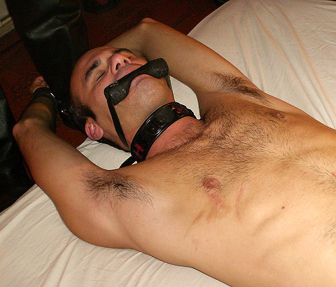 Annunci bondage annunci gay svizzera ANNUNCI SESSO GAY BOLOGNA ESCORT TURIN