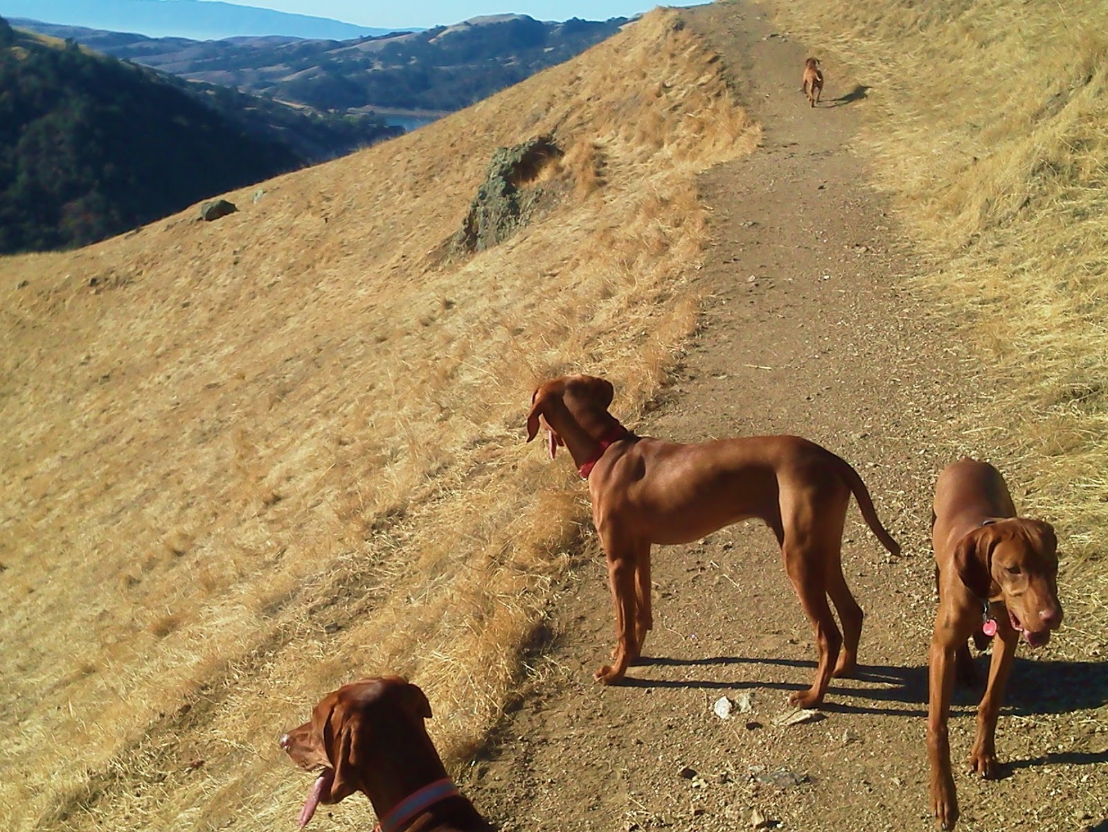 site rencontre gratuit granby