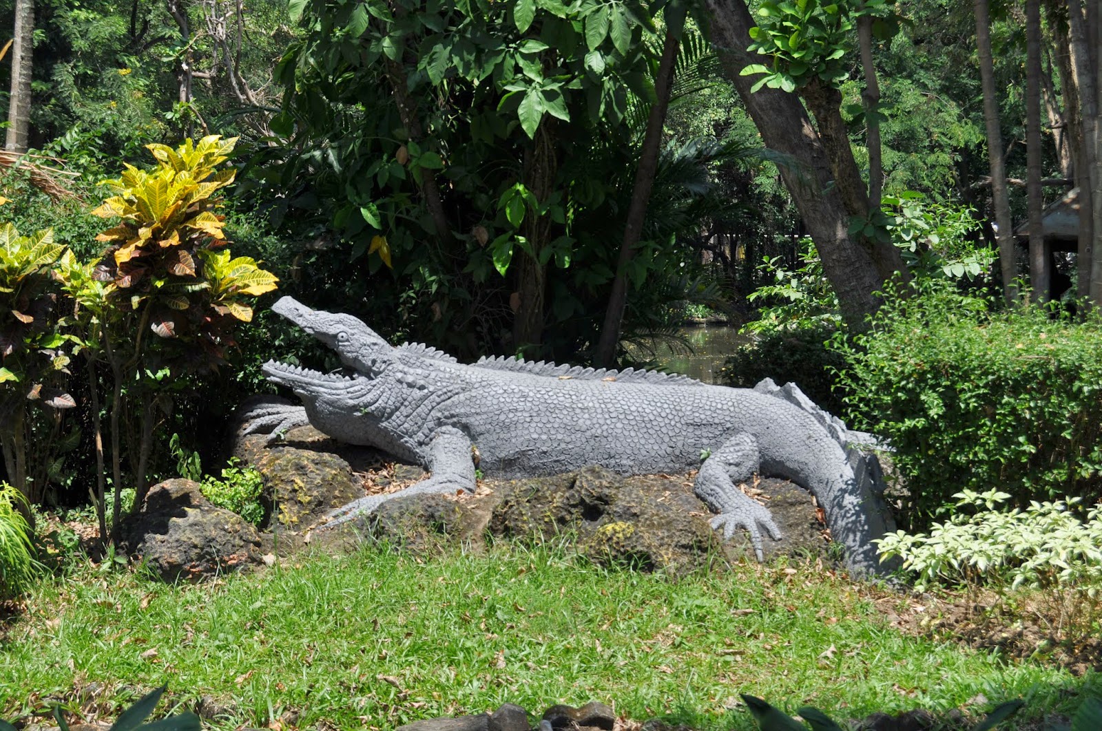 iguana aneh