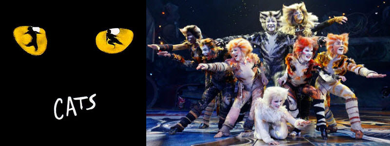 Cats Musical Broadway