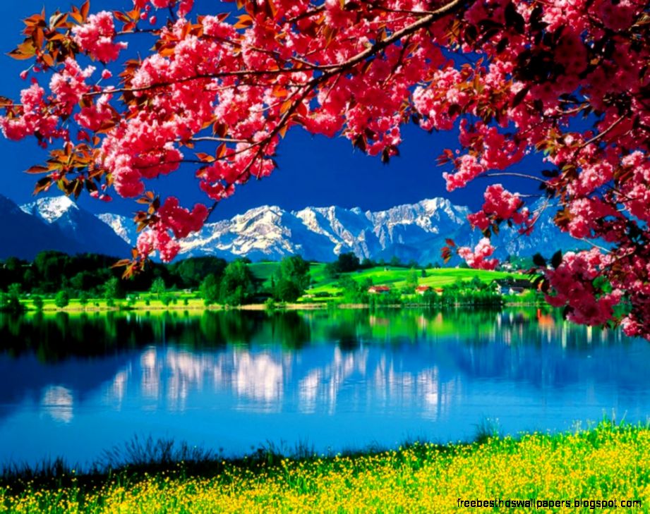 Nature Wallpaper daydreaming Nature Wallpaper daydreaming