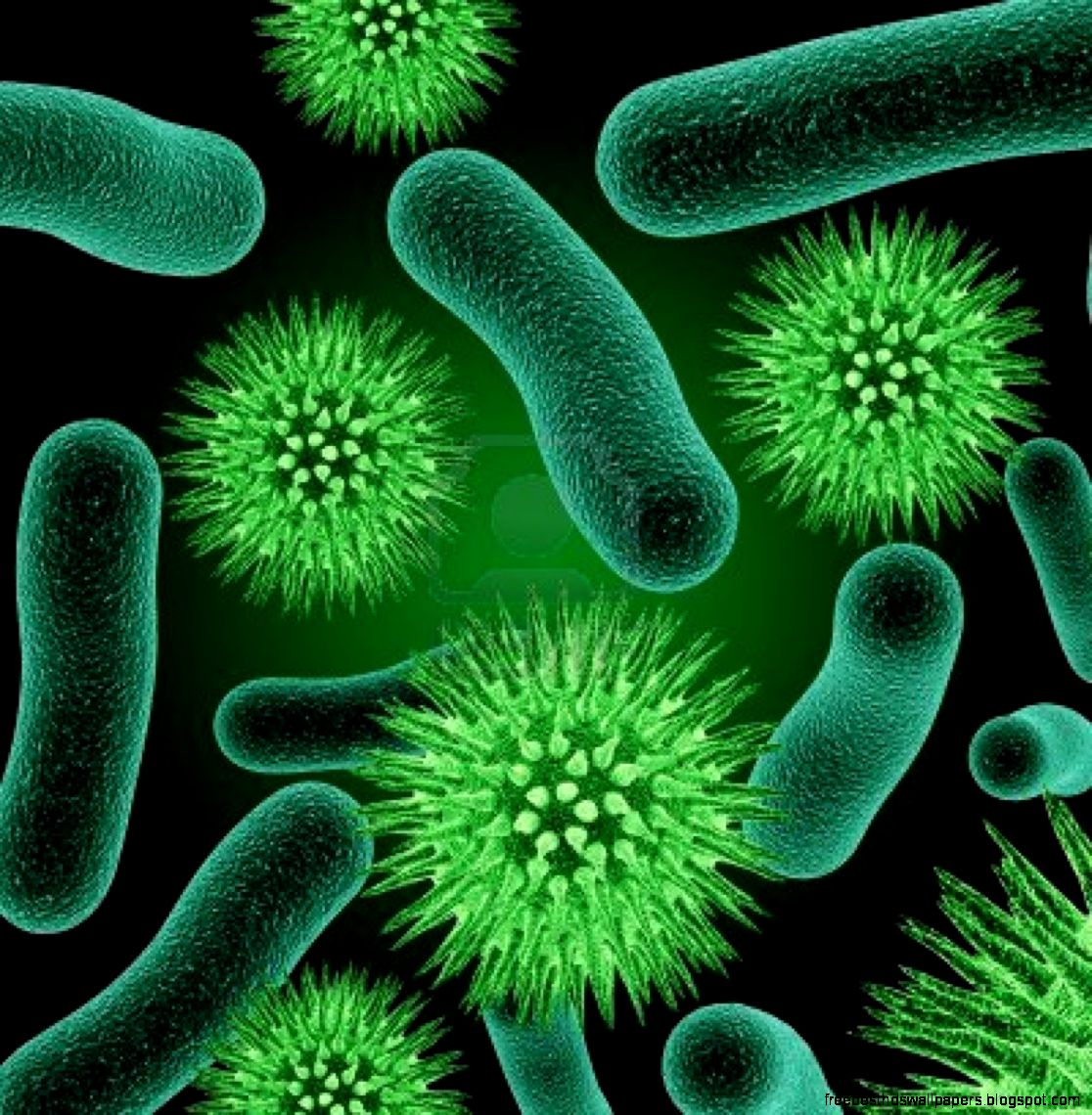 Bacteria friend or foe Bacteria friend or foe