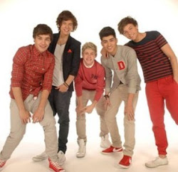 One Direction - Brytyjski Boy Band od lewej Liam,Harry,Niall,Zayn i Louis