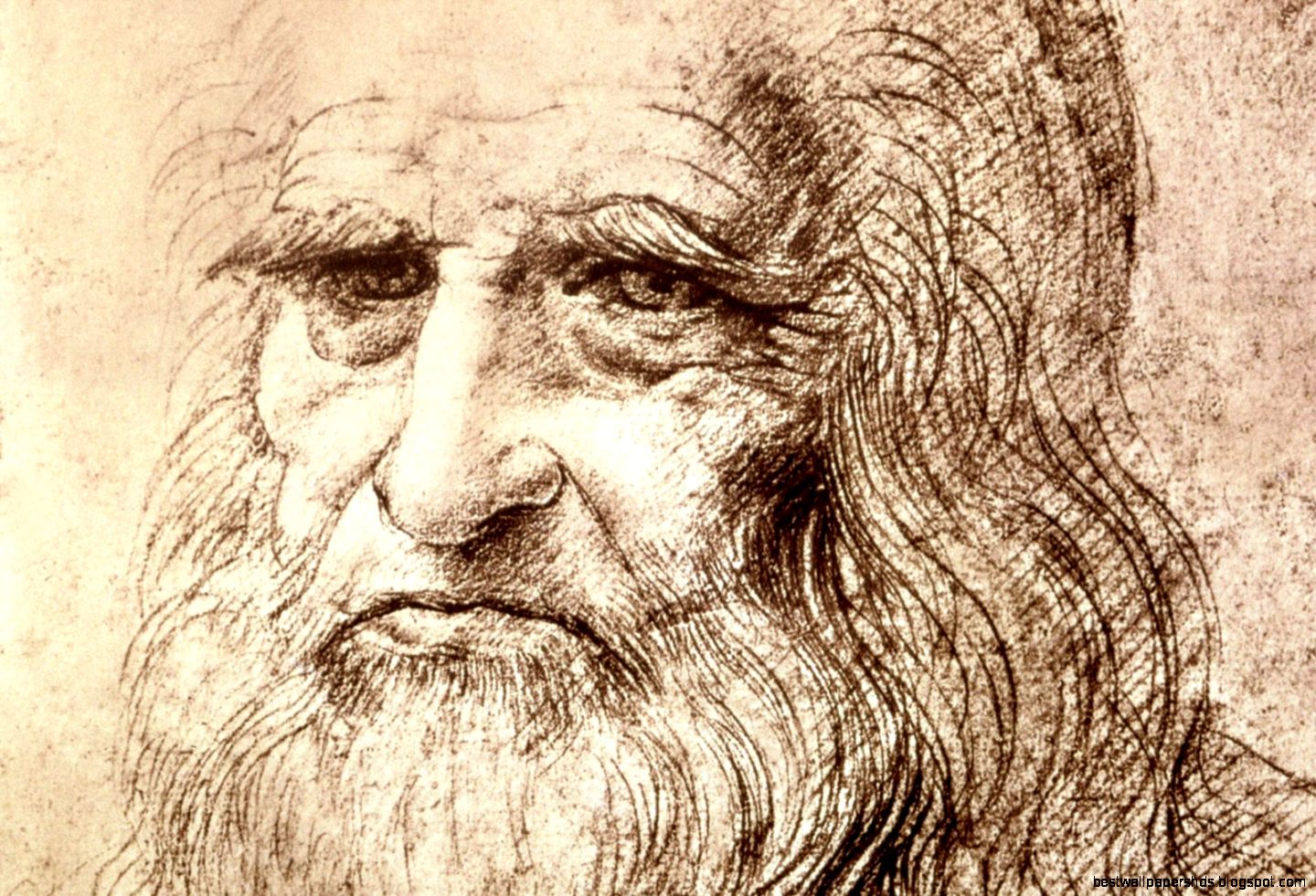 Leonardo Da Vinci Wallpaper Leonardo Da Vinci Pictures Cool Leonardo Da Vinci Wallpaper Leonardo Da Vinci Pictures Cool