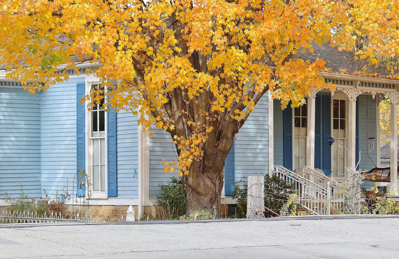 BlueEyed Kentucky Historic Downtown La Grange, Part 1