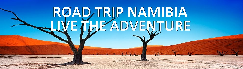 Road Trip Namibia