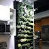 Lake Luv: Wish Wednesdays: Indoor Wall Planter for Herbs