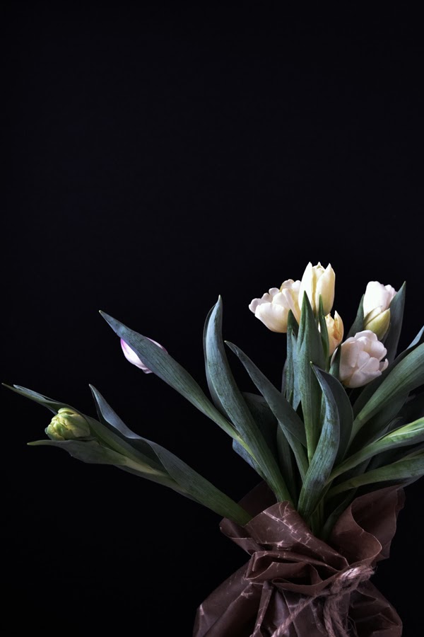 tulips-anna-wedin-oy-blog