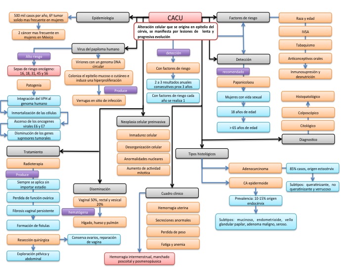 GINECOLOGIA ONCOLOGIA ginecologia oncologia: