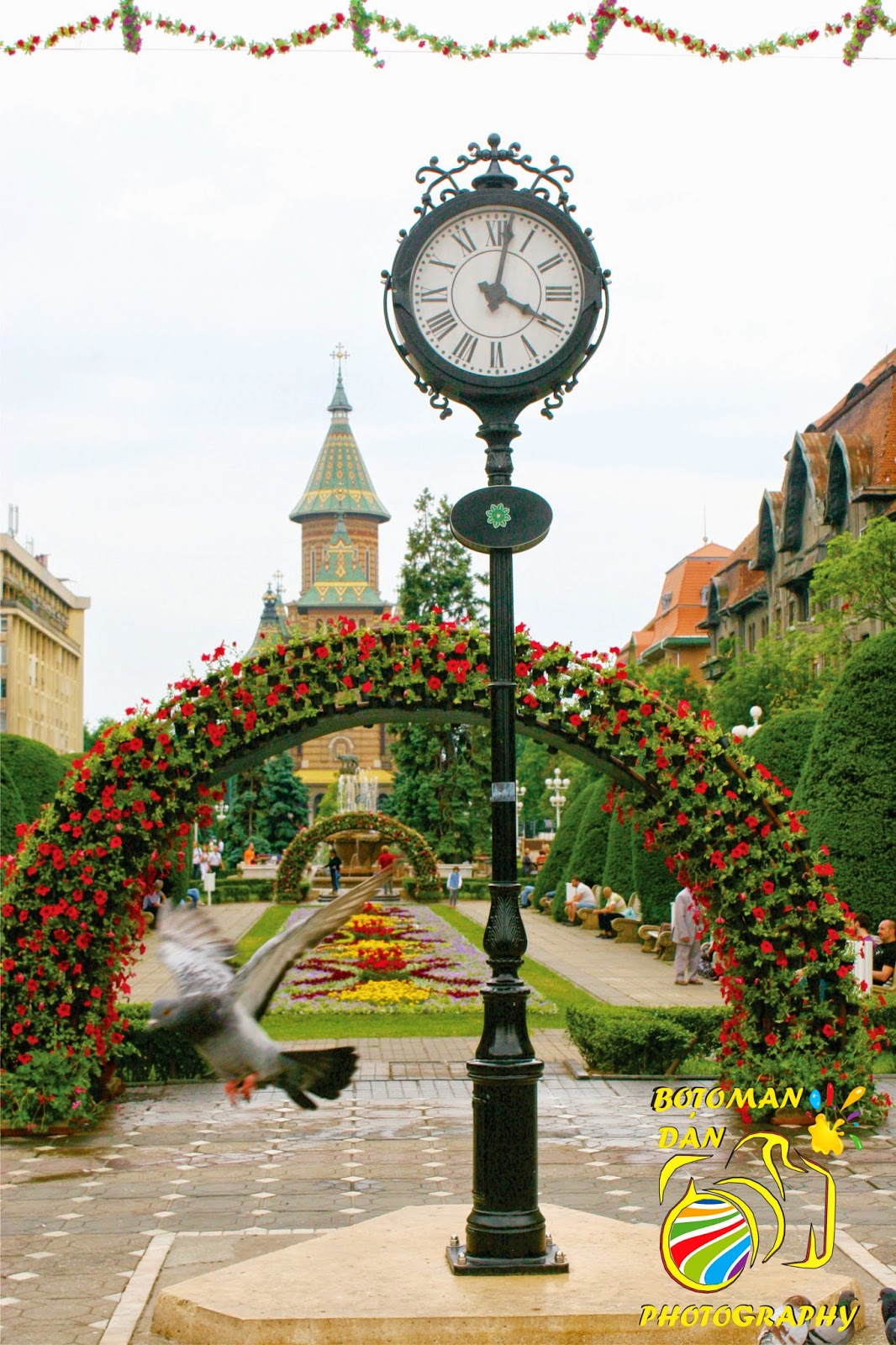 Da Culoare Vietii Festivalul Florilor Timisoara. Galerie Foto