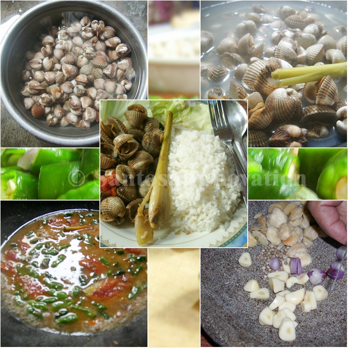 Resep Memasak Kerang Laut Ala Mesanint Mesanint Resep Memasak Kerang Laut Ala Mesanint Mesanint