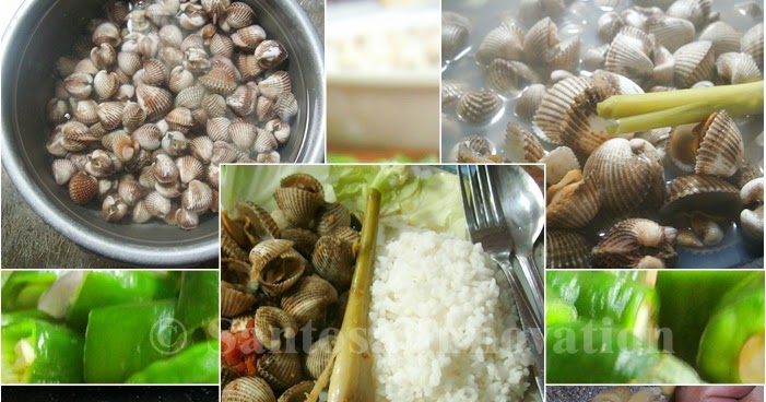Resep Memasak Kerang Laut Ala Mesanint Mesanint Resep Memasak Kerang Laut Ala Mesanint Mesanint