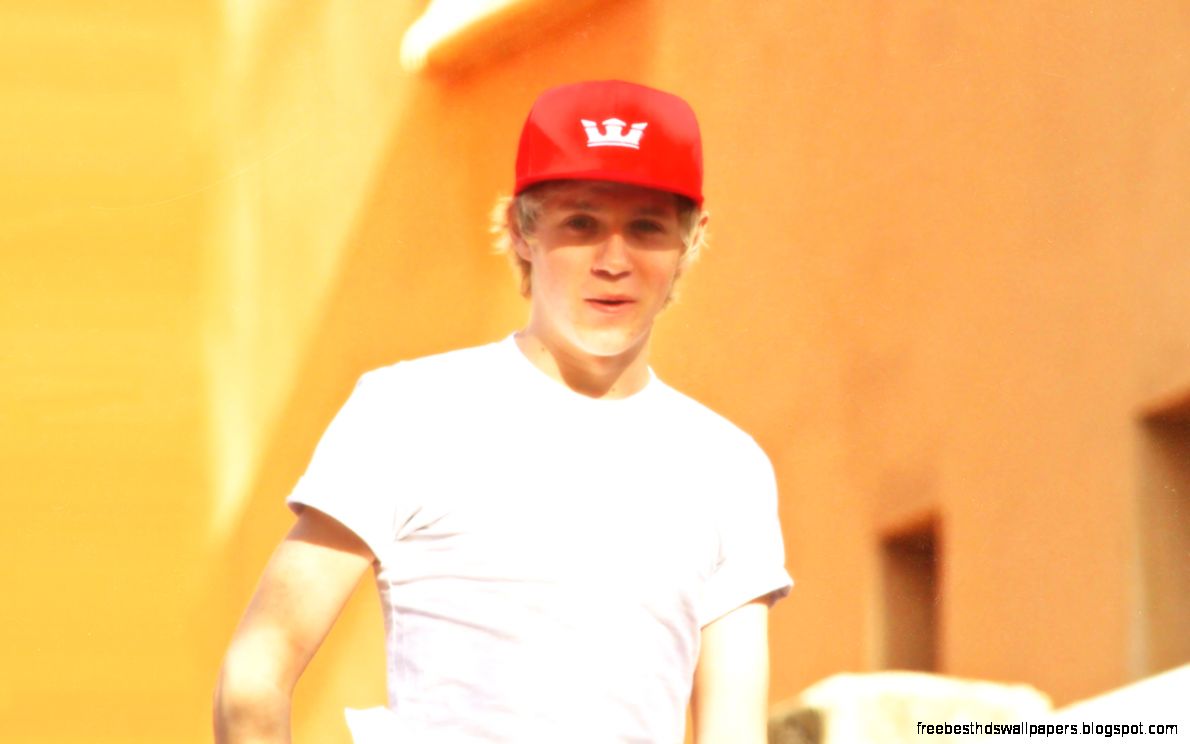 Niall Horan And Louis Tomlinson In One Direction This Is Us 2013 Niall Horan And Louis Tomlinson In One Direction This Is Us 2013