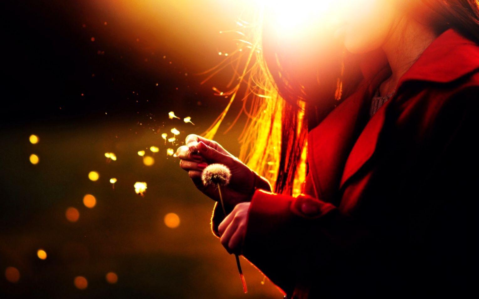 Mood Girl Dandelion Seeds Flower Sun wallpaper 1680x1050 20392 Mood Girl Dandelion Seeds Flower Sun wallpaper 1680x1050 20392