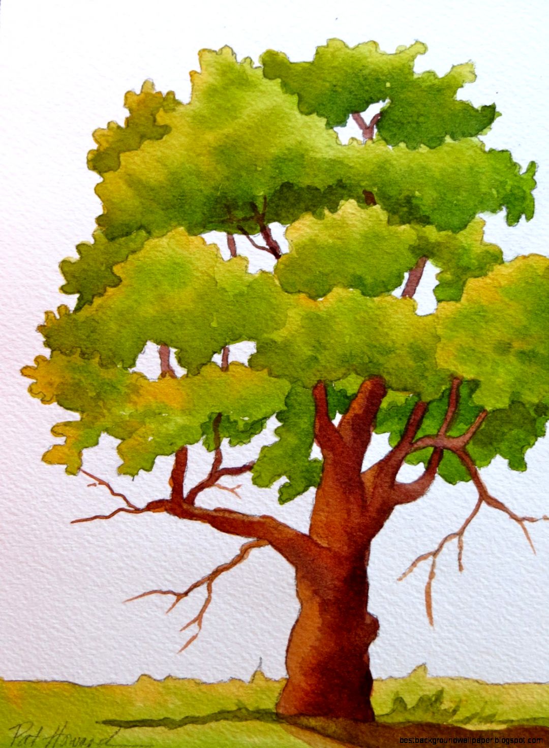 The Painted Prism 5 WATERCOLOR TECHNIQUES for TREES The Painted Prism 5 WATERCOLOR TECHNIQUES for TREES