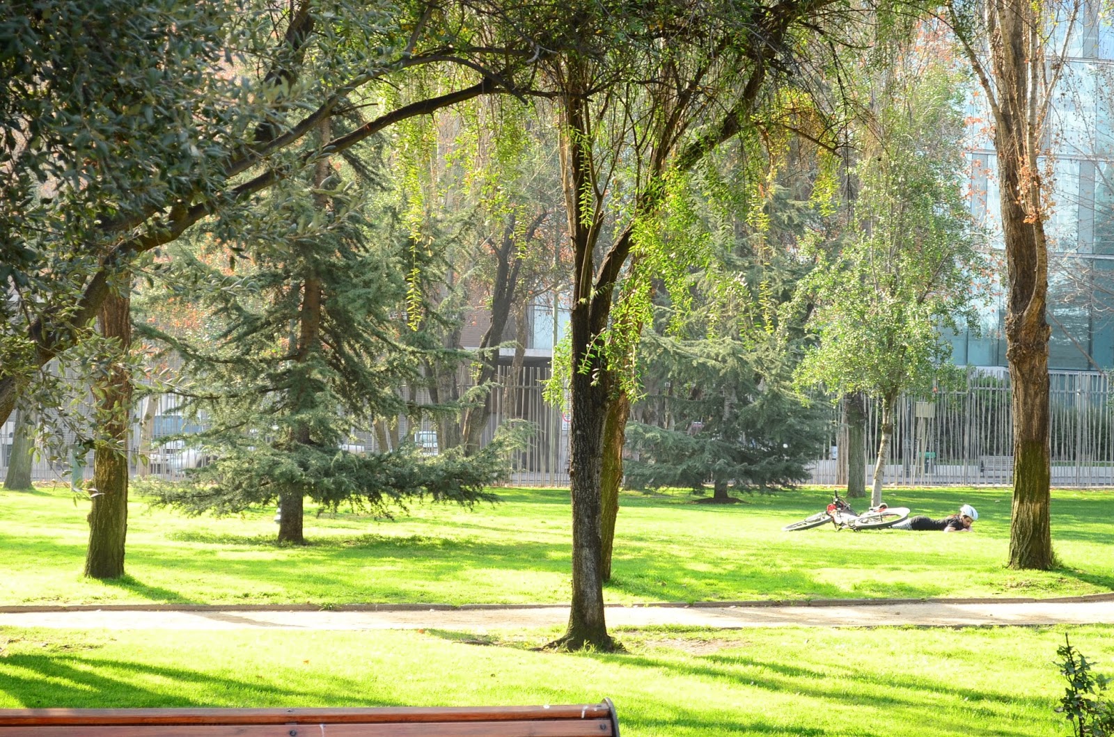 The Practical Mom: Child friendly Chile: Restrooms, Creches, Parks & Zoos in Santiago