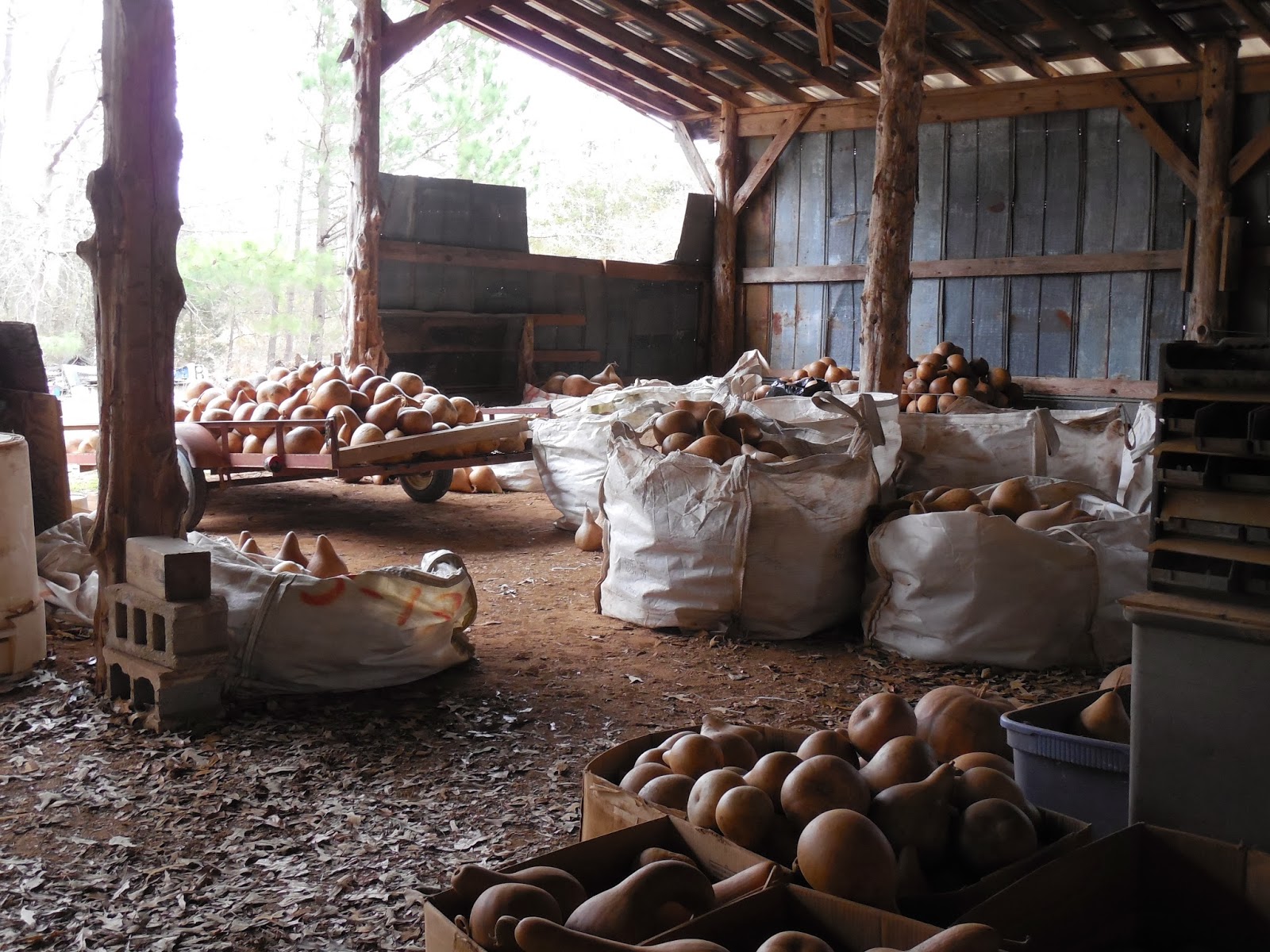 Conscious Art Studios A Trip to the Gourd Farm brings Creative