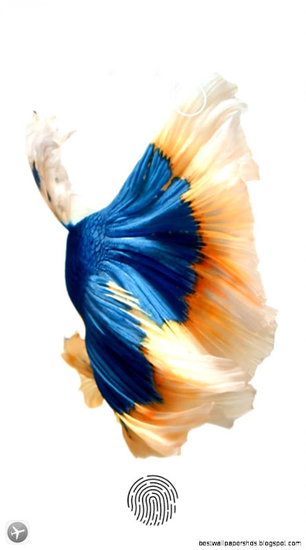 iPhone 6S New Live Wallpapers Download Links iPhone 6S New Live Wallpapers Download Links