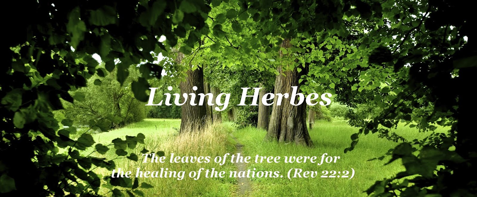 Living Herbes