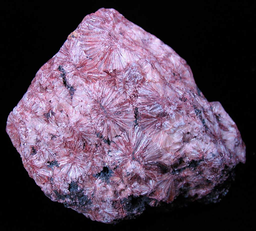 Louisville Fossils and Beyond Southern Indiana Minerals