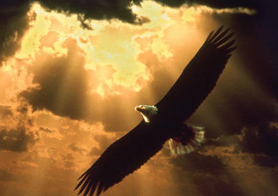 Tesoros y Secretos EL VUELO DEL ÁGUILA IV