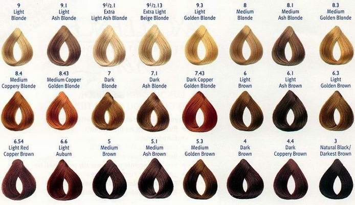 Red Hair Shades Red Hair Color Chart
