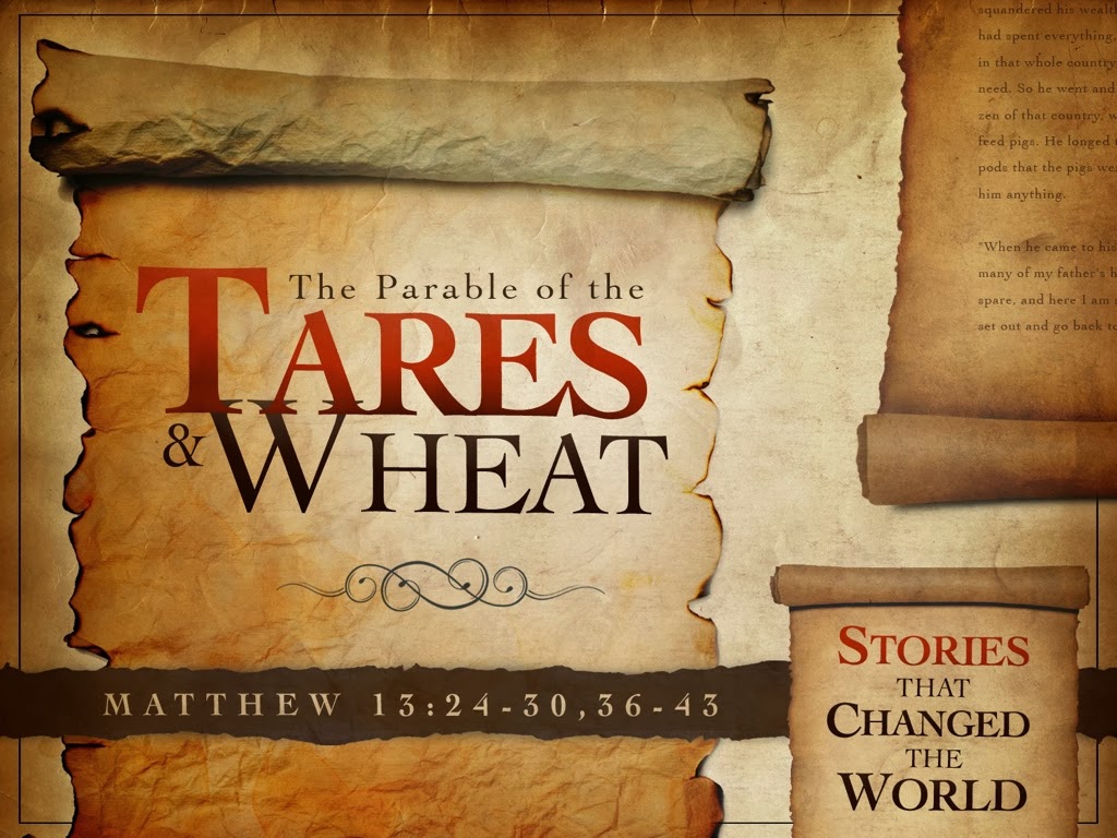 wheat and tares He'll gather the wheat to the grainery and burn the chaff with and that thein the church the wheat and the tares grow together and you've. wheat and tares He'll gather the wheat to the grainery and burn the chaff with and that thein the church the wheat and the tares grow together and you've.