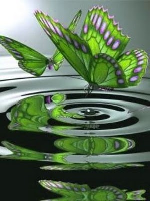 latest wallpapers of nature latest wallpapers of nature for mobile. latest wallpapers of nature