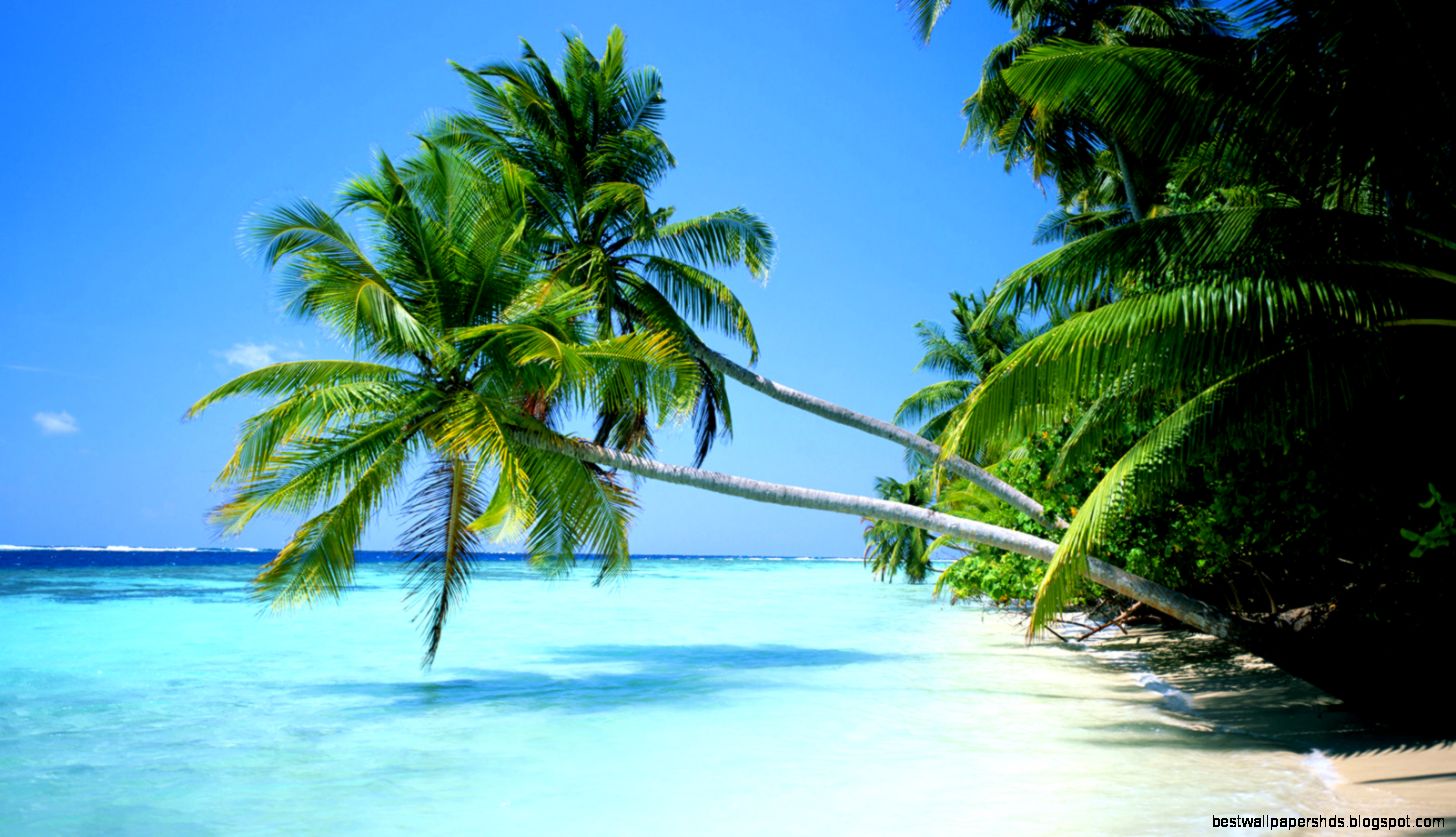 beach desktop wallpaper beach desktop wallpaper
