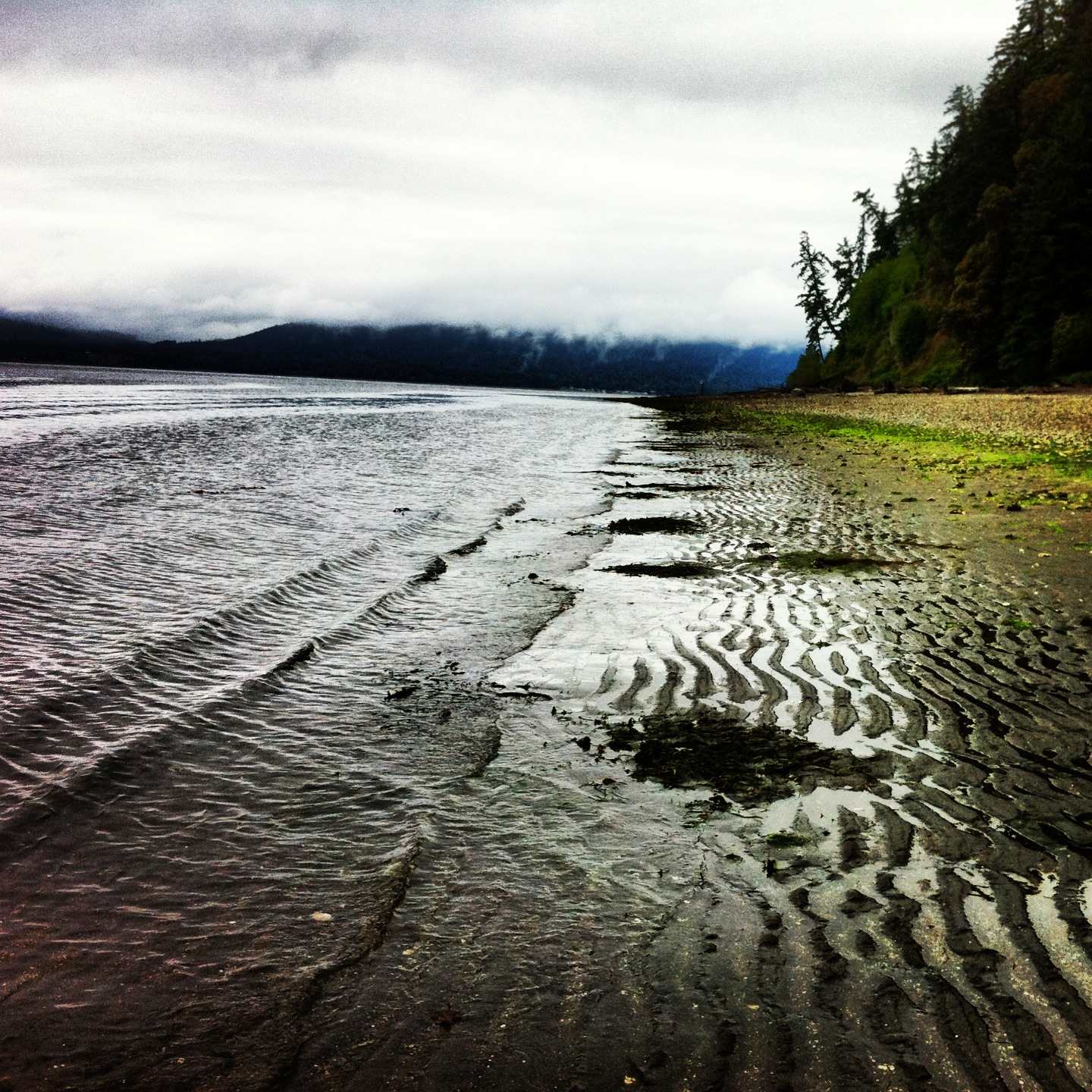 Swingin' In the Rain Hood Canal SRC's