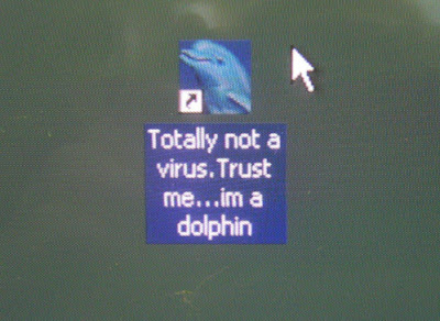 virus delfino