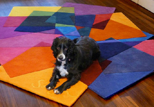 Sonya+Winner+After+Matisse+Rug2.jpg