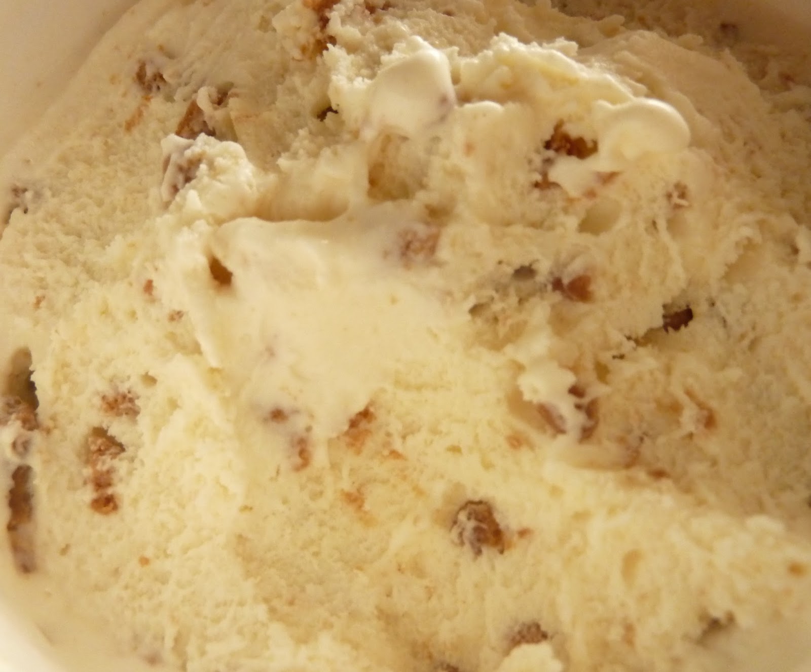 What's Good at Trader Joe's? Trader Joe's Speculoos Cookie Butter Ice