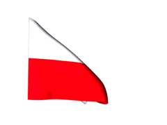 Obraz znaleziony dla: gify flaga Polski