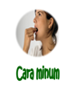 Cara minum WSC